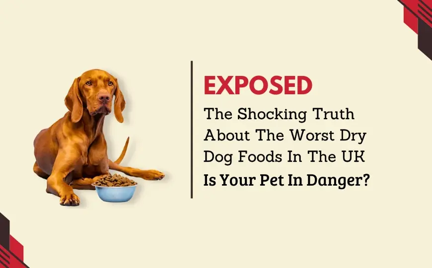 9 Worst Dry Dog Food Brands in the UK 2024